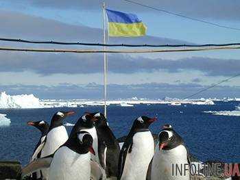 В научном центре рассказали, чем занимаются украинцы в Антарктике