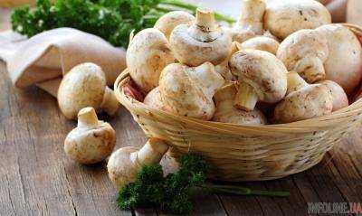 Украина в прошлом году экспортировала в 12 раз больше грибов