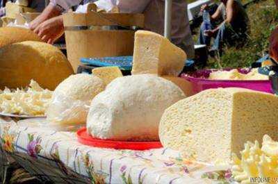 Фестиваль сыра и брынзы устроят во Львовской области в мае