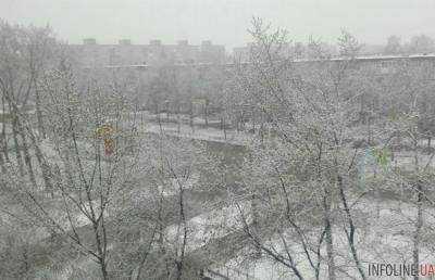 В российской Перми выпал снег