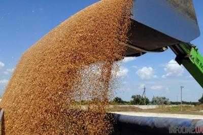 Экспорт зерновых сократился почти на 8%