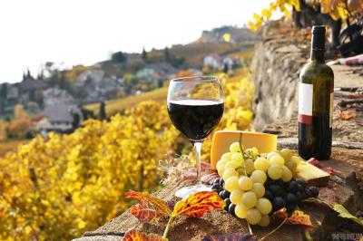 Виноград, вино и первые фрукты: на Закарпатье громко проходит фестиваль виноделов