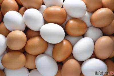 Украина рассчитывает на возобновление экспорта яиц в Израиль