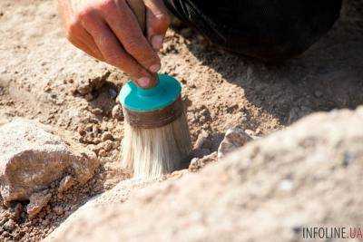 Археологи в Помпее нашли древние останки животных