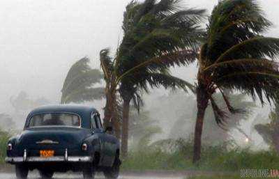 Субтропический шторм “Альберто” обрушился на Флориду