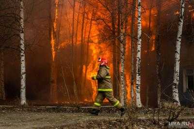 Гослесагентство: причиной пожара в Херсонской области считают поджоги
