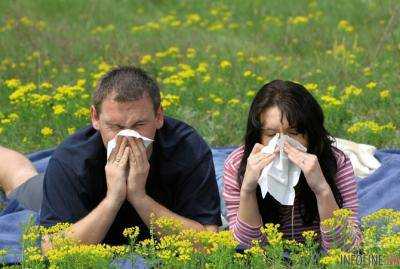 Тополиный пух, жара, июнь: как спастись аллергикам