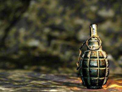 Неизвестные бросили три гранаты на частный двор в Донецкой области