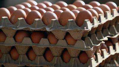Пятеро украинцев пойманы на контрабанде куриных яиц и автозапчастей в РФ