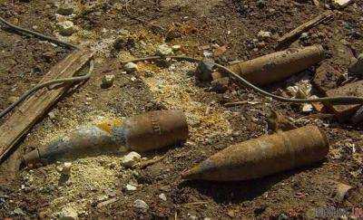 В Житомирской области мужчина пострадал из-за взрыва боеприпаса времен Второй мировой