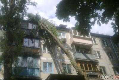 В Виннице дерево упало на пятиэтажку