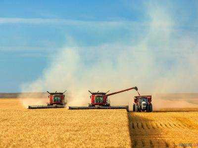 Аграрии собрали 4,7 млн тонн зерна нового урожая