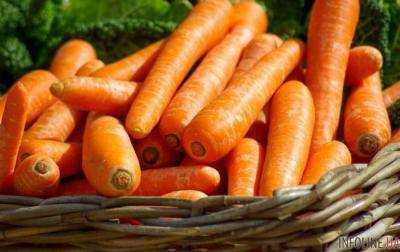Как в ЕС: в Украине морковь подорожала до 50 гривен