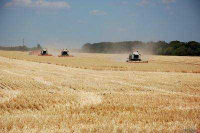 Аграрии намолотили 6,2 млн тонн зерна