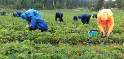 Аграрии призывают адаптировать советские подходы к сезонным работам в агросекторе