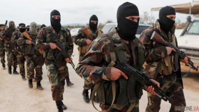Война в Сирии: повстанцы сдали провинцию Эль-Кунейтра