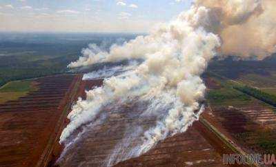 Лесные пожары в Латвии: найдены признаки поджога