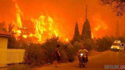 Лесные пожары в Греции: 40 человек считаются пропавшими без вести
