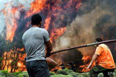 В Греции лесной пожар забрала жизни уже 81 человека