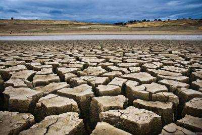 В Австралии небывалая засуха