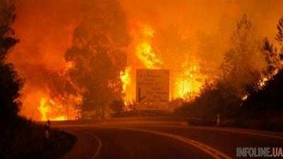 Число пострадавших от пожаров в Португалии возросло до 32