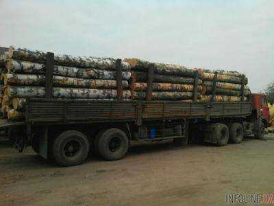 Во Львовской области задержали грузовики с нелегальным деревом