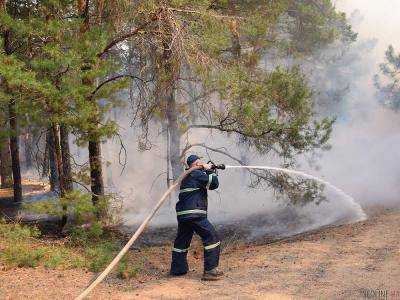 Пожар в лесу в Николаевской области потушили