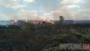 В Харьковской области горят лес и хозяйственные постройки: к тушению привлекли вертолет