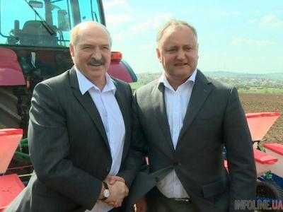 Додон отправит Лукашенко засеянную ими вместе кукурузу
