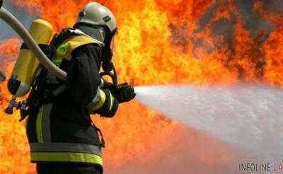 Сгорела заживо: появились подробности и кадры масштабного пожара в Ужгороде