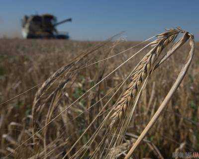 В Минэкономразвития уменьшили прогноз урожая зерновых
