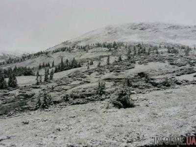 На высокогорье Карпат выпал снег