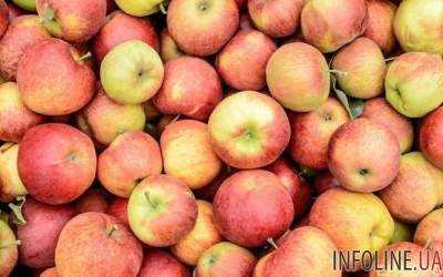 Из-за рекордного урожая в Украине подешевели яблоки