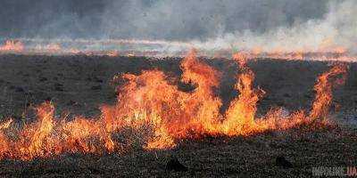 По Украине ожидается чрезвычайный уровень пожароопасности