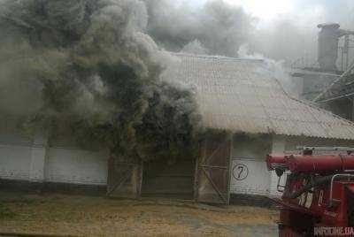 В Харьковской области уже с полсуток тушат пожар на складах с пшеницей