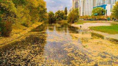 Ядовитые озера по всему городу отравляют киевлян: ситуация катастрофична