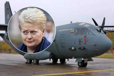 Президент Литвы не полетела с визитом в Ригу из-за неисправности самолета