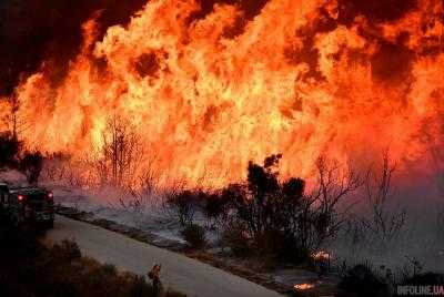 Ад в Калифорнии: число жертв лесных пожаров возросло до 80