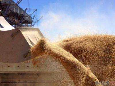 Экспорт зерновых превысил 20 млн тонн