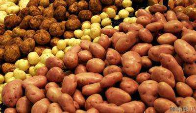 Украинцы съели почти 65 тыс. тонн картофеля