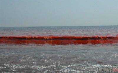 В Эстонии море стало кроваво-красным