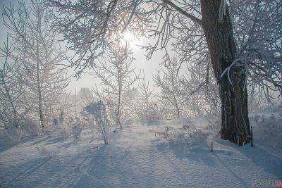 Снежный циклон покинул территорию Украины