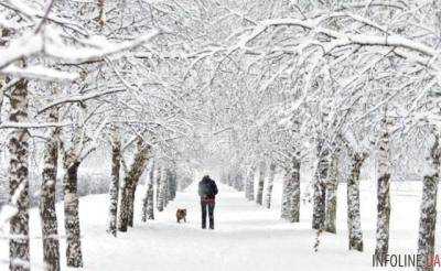 На Рождество синоптики обещают небольшой снег и похолодание