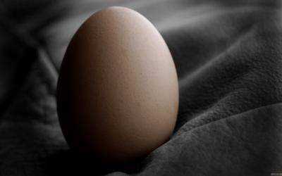 Главное яйцо Instagram добавило новое фото