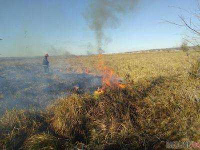 В Николаевской области огонь охватил почти 5 гектаров камыша