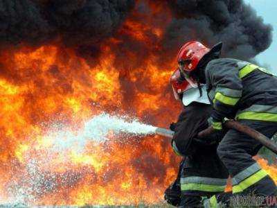 В Кировоградской области в пожаре погибли 18 свиней