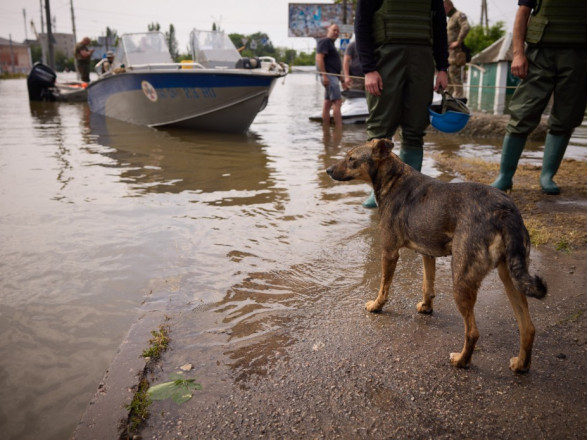 Уровень воды в Херсонской области после подрыва дамбы снизился до 62 сантиметров