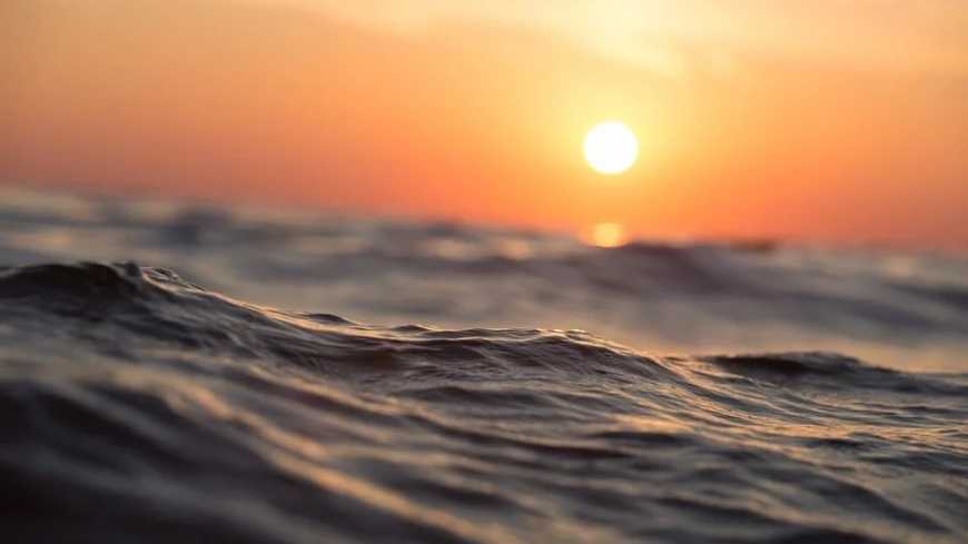 Черное море «чужаки» превращают в «мутную кашу»: жуткие выводы ученых