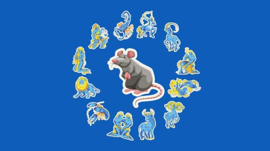 Восточный гороскоп 2020: что принесет год Крысы