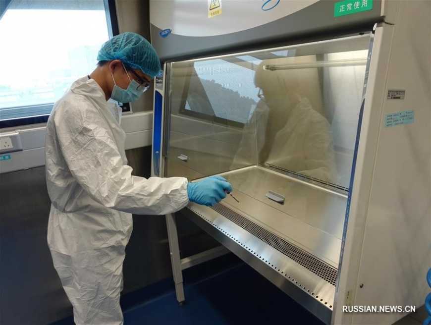 Стали известны новые факты о лаборатории, откуда мог возникнуть коронавирус
